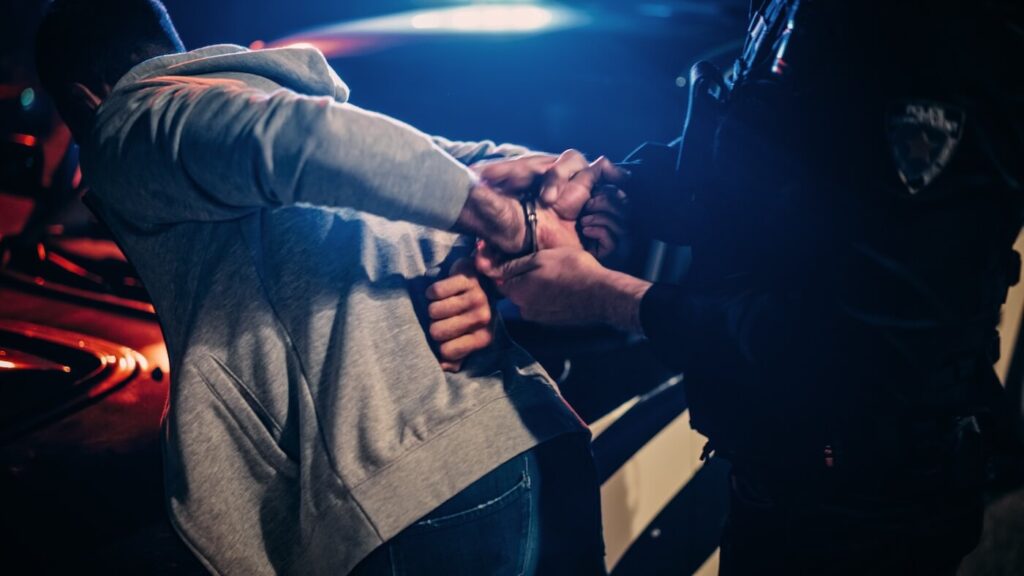 Male officers force a civilian to comply